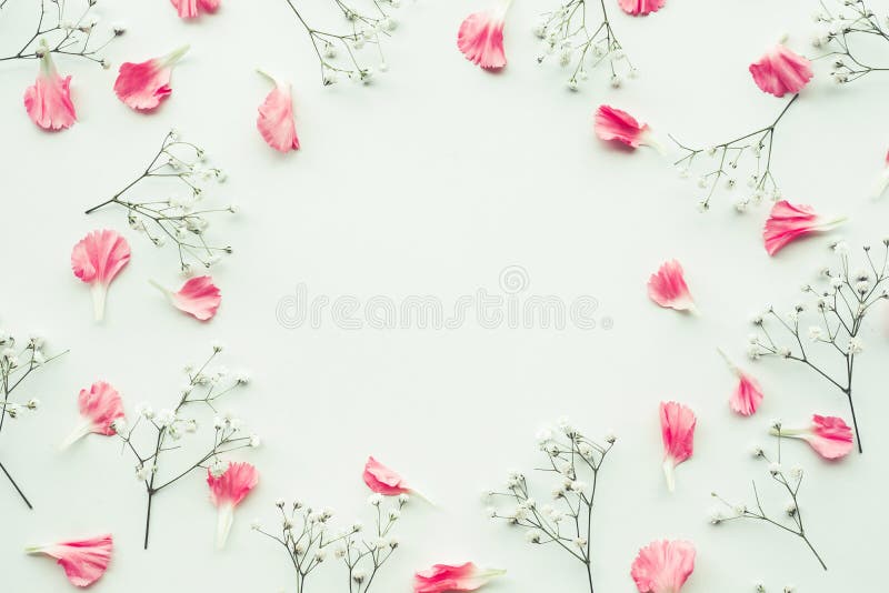 Petal flower on white background with copy space. stock photo