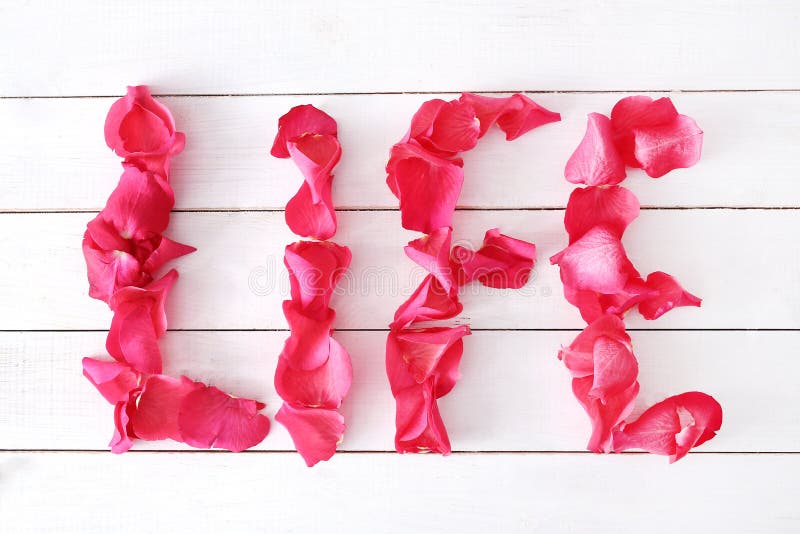 Petal words stock photo. Image of label, font, message 66413924