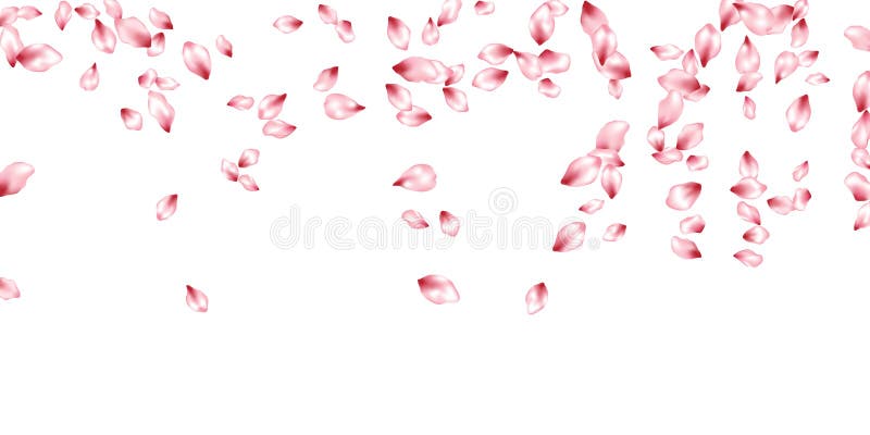 Petali della ciliegia che pilotano il fondo dell'invito di vettore Il fiore di caduta della primavera parte i coriandoli, progett illustrazione di stock Petali della ciliegia che pilotano il fondo dell'invito di vettore Il fiore di caduta della primavera parte i coriandoli, progett illustrazione di stock