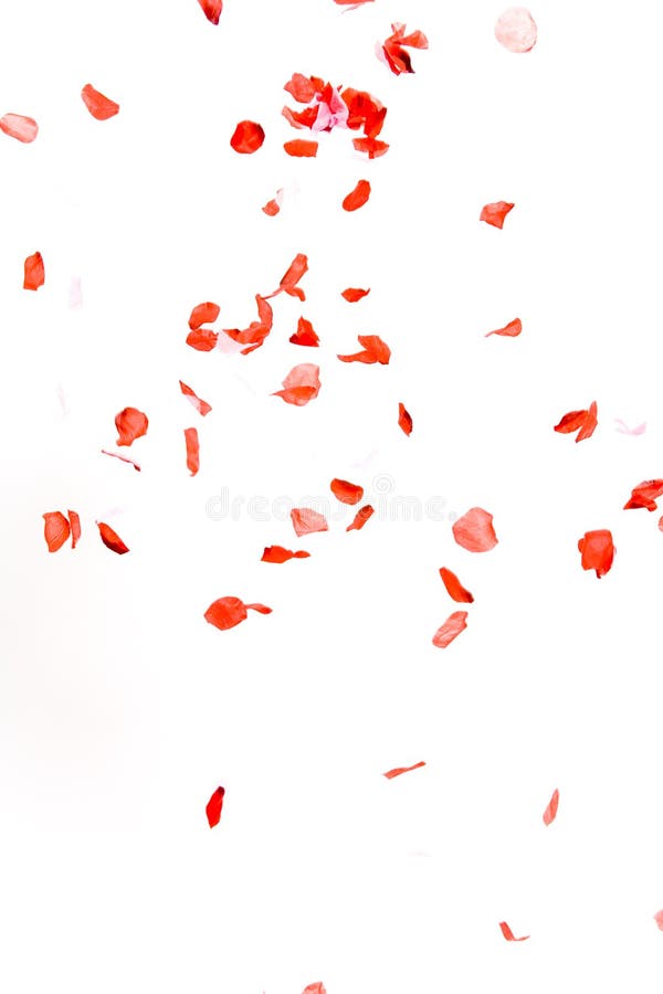 Falling Roses Petals From The Sky Stock Photo - Download Image Now