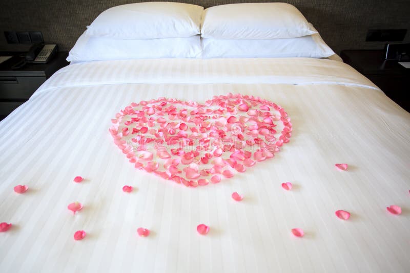 Petals of Roses on a White Honeymoon Bed Stock Image Image of beauty