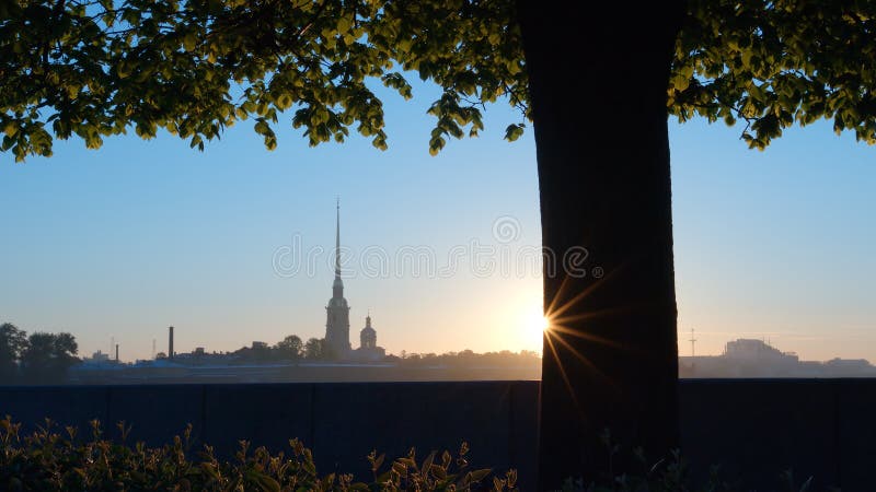 Peter and Paul Fortress and tree on the Spit of Vasilievsky Island on a sunrise - St. Petersburg, Russia