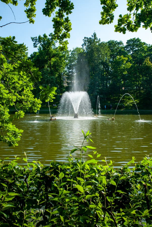Peterhof,圣彼德堡,俄罗斯- 2019年6月06日:在喷泉的美好的veiw在湖在植物中 库存照片 Peterhof,圣彼德堡,俄罗斯- 2019年6月06日:在喷泉的美好的veiw在湖在植物中 库存照片