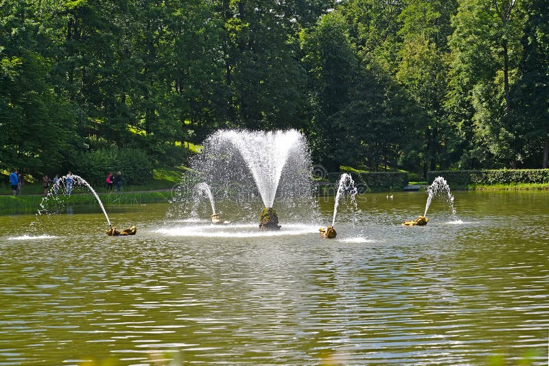 Peterhof, Russia La fontana della balena nello stagno della sabbia fotografia stock libera da diritti Peterhof, Russia La fontana della balena nello stagno della sabbia fotografia stock libera da diritti
