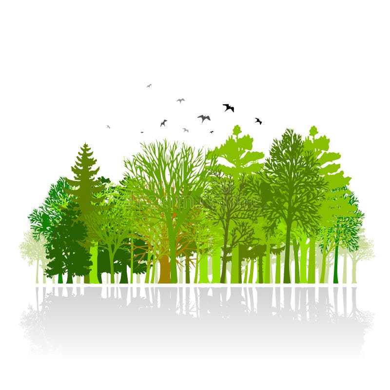 petit bois de stationnement vert d'illustration illustration stock petit bois de stationnement vert d'illustration illustration stock