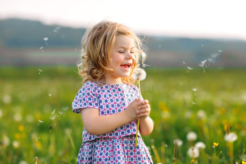 Petit bébé mignon adorable soufflant sur une fleur de pissenlit sur la nature pendant l'été Beau sain heureux photographie stock Petit bébé mignon adorable soufflant sur une fleur de pissenlit sur la nature pendant l'été Beau sain heureux photographie stock