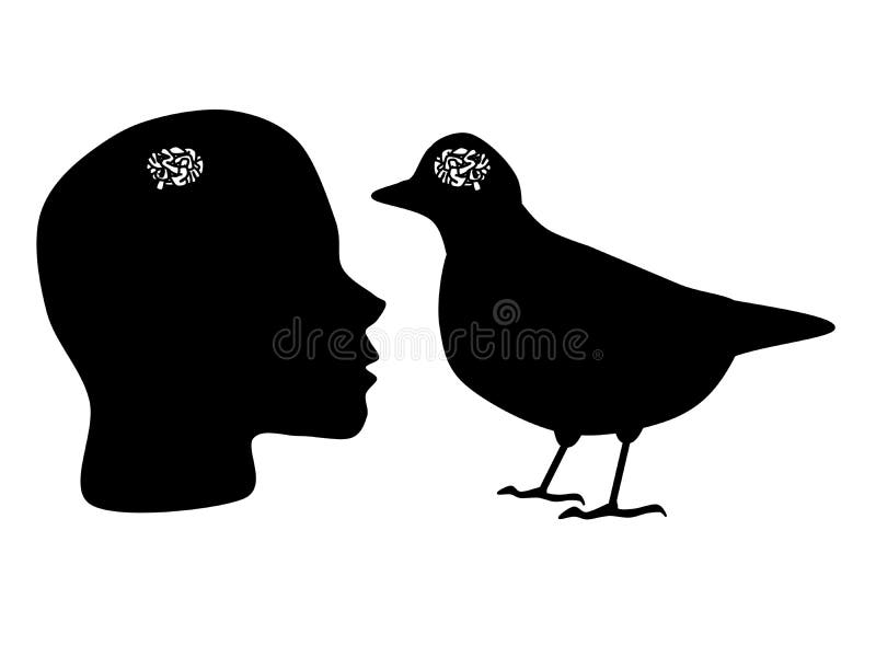 Someone who has a brain the same size of a bird. Someone who has a brain the same size of a bird