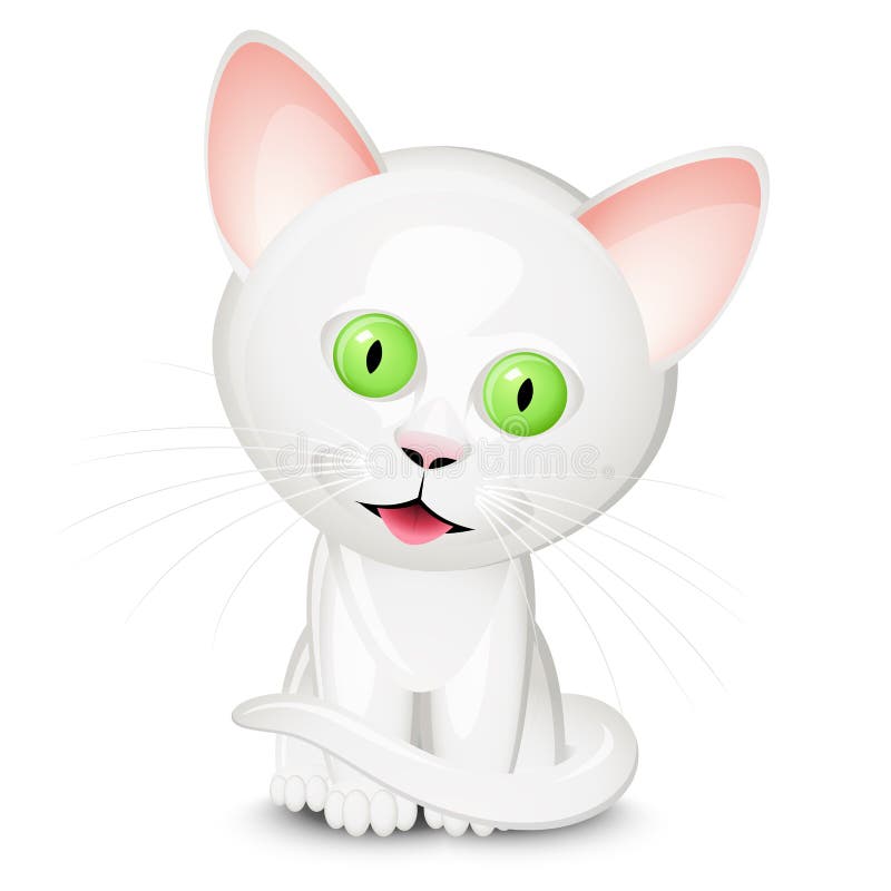 Petit Chat Blanc Illustration De Vecteur Illustration Du Felin Petit Chat Blanc Illustration De Vecteur Illustration Du Felin