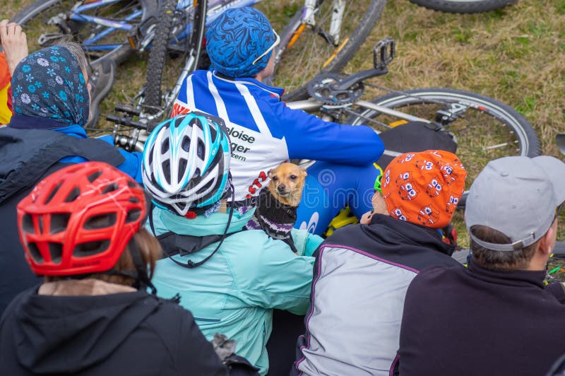 Petit chien de chiwawa gardant son maître dans la foule sur la réunion locale de club de bicyclette photographie stock Petit chien de chiwawa gardant son maître dans la foule sur la réunion locale de club de bicyclette photographie stock