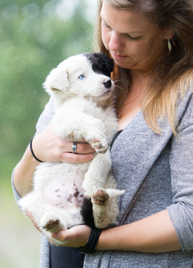 Petit chiot de border collie avec l'oeil bleu dans les bras d'une femme photographie stock Petit chiot de border collie avec l'oeil bleu dans les bras d'une femme photographie stock
