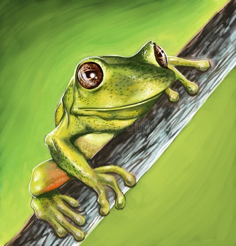 Petit crapaud illustration libre de droits Petit crapaud illustration libre de droits