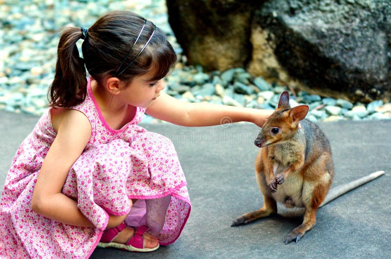 Little child (girl age 5-6) petting a Yellow-footed rock-wallaby in Queensland, Australia. It appears on the IUCN Red List of Threatened Species . Little child (girl age 5-6) petting a Yellow-footed rock-wallaby in Queensland, Australia. It appears on the IUCN Red List of Threatened Species .