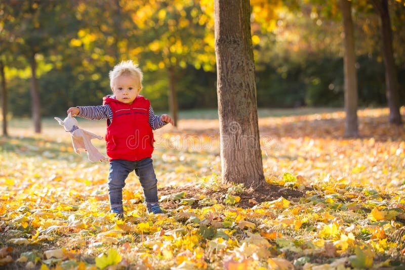Petit enfant heureux, bébé garçon, riant et jouant pendant l'automne photographie stock libre de droits Petit enfant heureux, bébé garçon, riant et jouant pendant l'automne photographie stock libre de droits