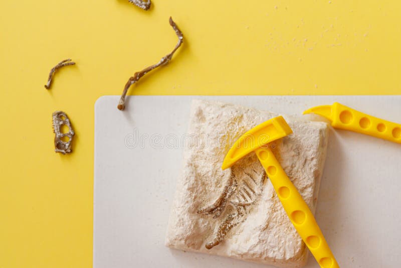 Petit Enfant Jouant Avec L'ensemble D'archéologie De Jouets