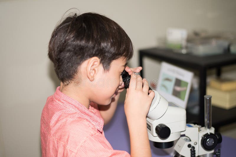 Petit garçon apprenant la classe de la science avec le microscope dans la classe photo stock Petit garçon apprenant la classe de la science avec le microscope dans la classe photo stock