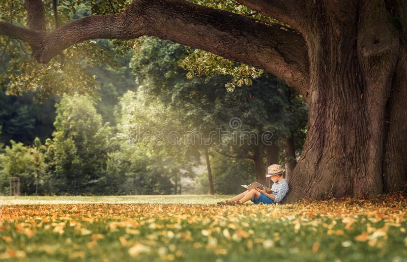 Petit garçon lisant un livre sous le grand arbre de tilleul