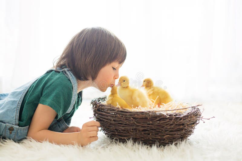 Petit garçon mignon avec le printemps de canetons, jouant ensemble images stock Petit garçon mignon avec le printemps de canetons, jouant ensemble images stock