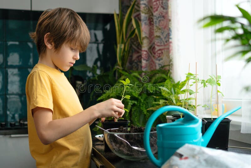 Petit garçon plantant des semis à la maison. un enfant indépendant est occupé par un hobby avec des plantes en pots. concept à vie