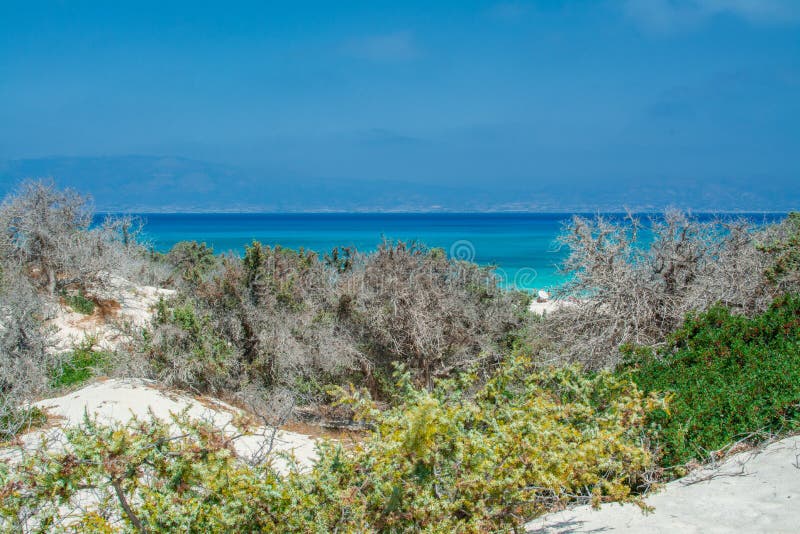 Petit groupe d'une île blanche haute sèche de chrissi de sable de tronc d'arbre de cèdre. Côte et plage avec journée ensoleillée de mer bleue rocheuse de côtes de rochers la bonne. Voyage estival. La belle Grèce