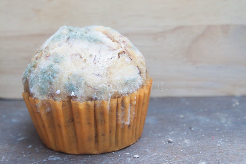 Petit gâteau de banane avec le champignon de moule images stock