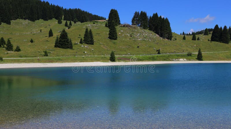 petit lac alpin avec de l'eau l'eau contaminée photographie stock libre de droits petit lac alpin avec de l'eau l'eau contaminée photographie stock libre de droits