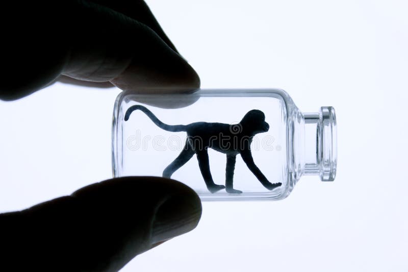 Petit singe dans une petite bouteille images libres de droits
