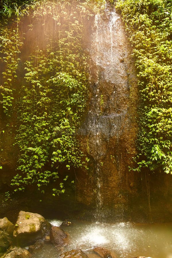 Petite cascade dans une forêt dans Bali, Indonésie avec une mini cascade photographie stock Petite cascade dans une forêt dans Bali, Indonésie avec une mini cascade photographie stock
