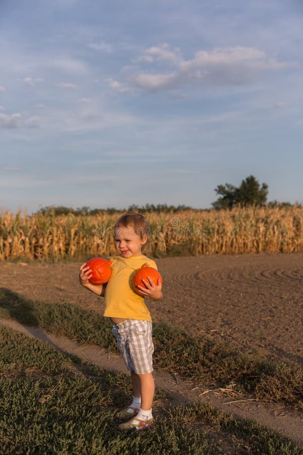 Petite fille adorable tenant deux petits potirons sur le champ photo libre de droits Petite fille adorable tenant deux petits potirons sur le champ photo libre de droits