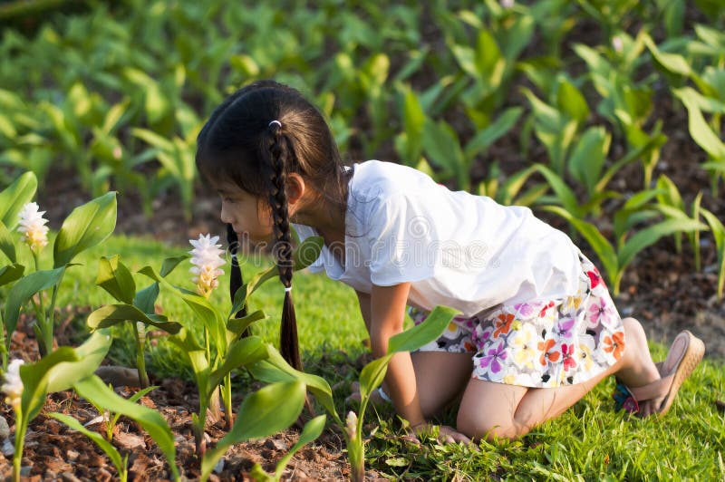 Petite fille asiatique sentant une fleur. photo stock