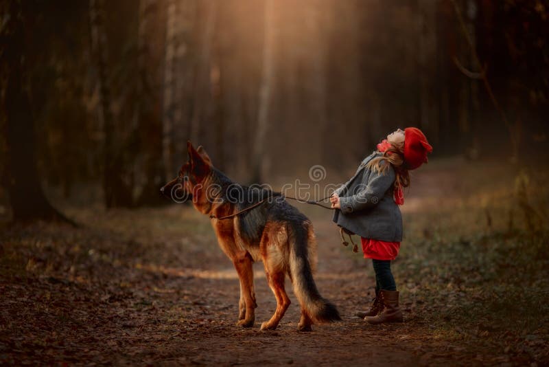 Petite fille avec un berger allemand dans une forêt d'automne photo libre de droits Petite fille avec un berger allemand dans une forêt d'automne photo libre de droits