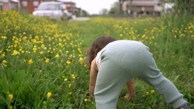 Petite fille en bas âge marchant et tomber dans un vert prairies avec des fleurs au printemps. Concept d'apprentissage de la march clips vidéos