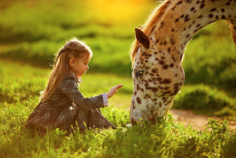 Petite fille et cheval photographie stock Petite fille et cheval photographie stock