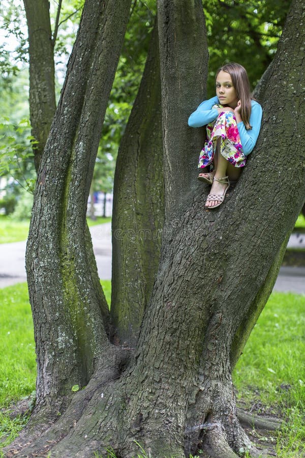 Petite fille mignonne s'asseyant sur un arbre nature photographie stock libre de droits Petite fille mignonne s'asseyant sur un arbre nature photographie stock libre de droits