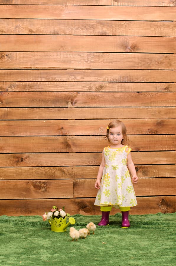 petite fille se tenant à côté des poulets photo stock petite fille se tenant à côté des poulets photo stock
