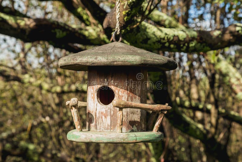 Petite Maison D'oiseau Dans Le Jardin Photo stock - Image du cloué,  nichoir: 108219328