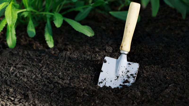 Une Petite Pelle Pour Le Jardin Image stock - Image du ...