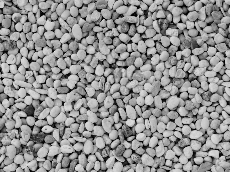 Petite texture en pierre blanche de fond de gravier texture rocheuse et pierreuse de cailloux photos stock Petite texture en pierre blanche de fond de gravier texture rocheuse et pierreuse de cailloux photos stock