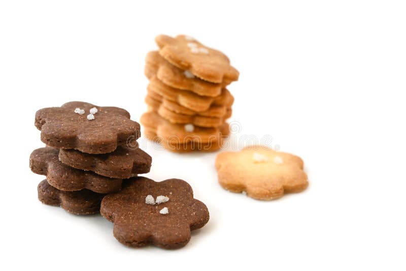 Petits biscuits faits maison sur le fond blanc photos stock Petits biscuits faits maison sur le fond blanc photos stock