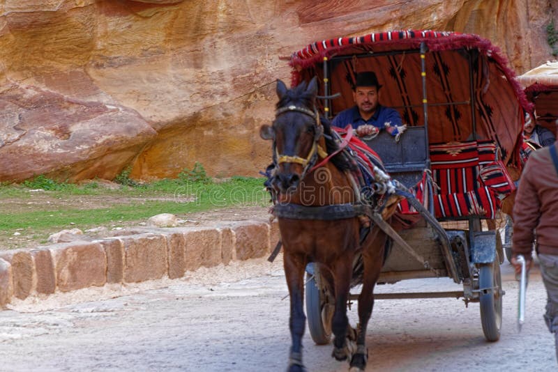 PETRA, Wadi Musa, Jordânia, o 9 de março 2018: Um treinador para turistas com um cocheiro e um cavalo deixa o Siq de PETRA e cond fotografia de stock PETRA, Wadi Musa, Jordânia, o 9 de março 2018: Um treinador para turistas com um cocheiro e um cavalo deixa o Siq de PETRA e cond fotografia de stock