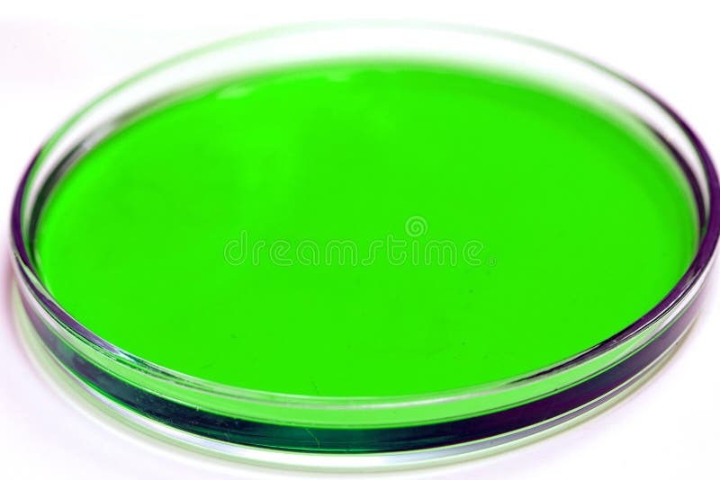 Petri Dish with Syringe with Blood Sample Stock Photo Image of