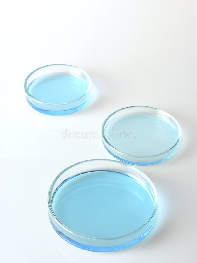 Tre piastre di Petri con ciano liquido blu su sfondo bianco, con copia di spazio.