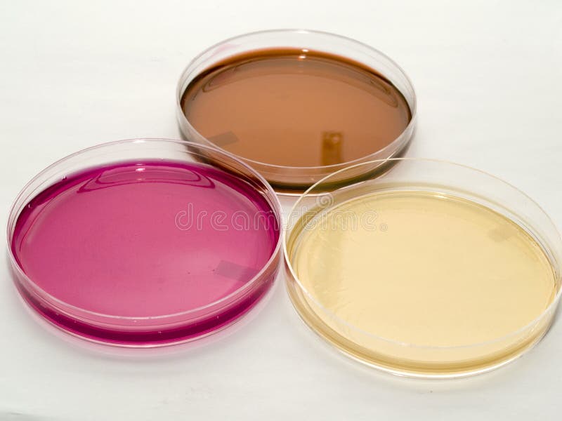 Petri dishes