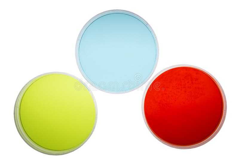 High Quality 10pcs Sterile Petri Dishes With Lids For Lab High Quality 10pcs Sterile Petri Dishes With Lids For Lab