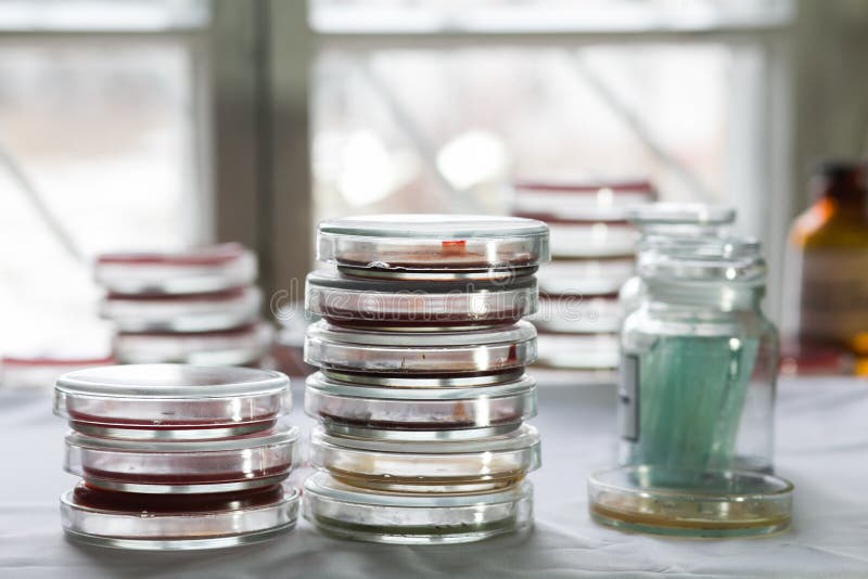 Petri dishes in a lab stock image. Image of bacteria 49996461