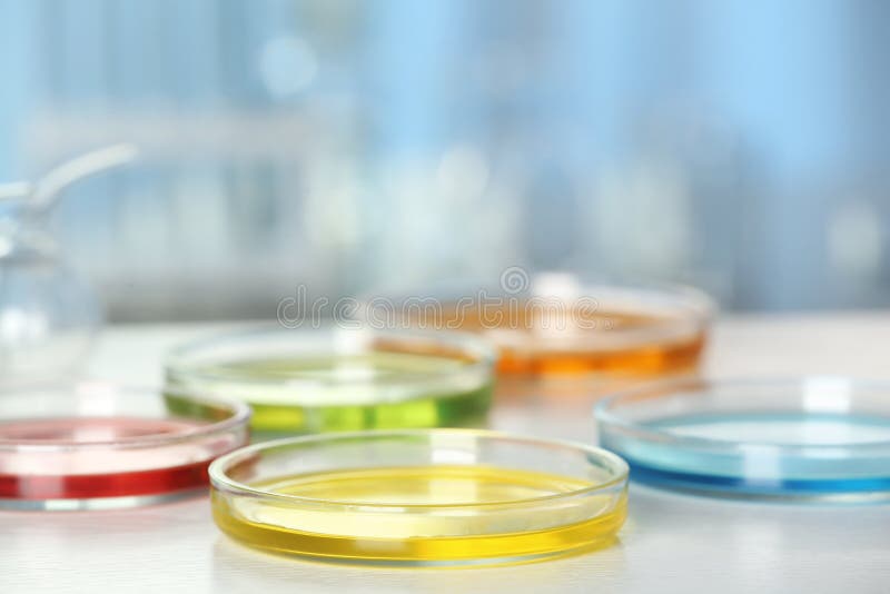 Petri Dishes with Liquid Samples. Laboratory Analysis Stock Photo