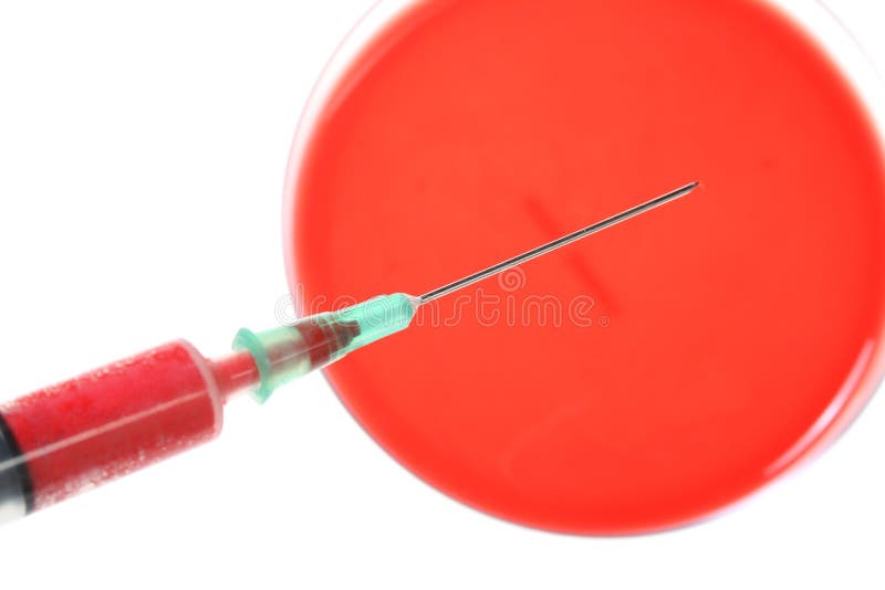 Petri Dishes for Medical Research Stock Image Image of analysis