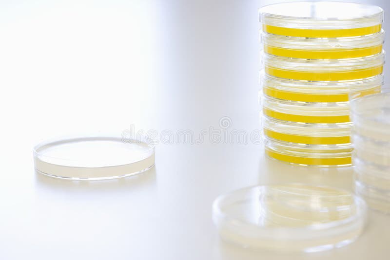Petri Dishes On Table