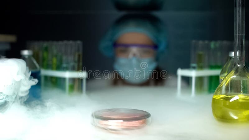 Petri naczynie z pr?bn? pr?bk? w fridge przed badaczem, cryopreservation zdjęcia royalty free Petri naczynie z pr?bn? pr?bk? w fridge przed badaczem, cryopreservation zdjęcia royalty free