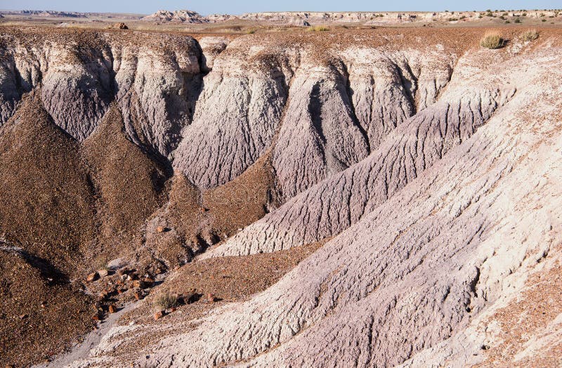Petrified Forest National Park royalty free stock photography