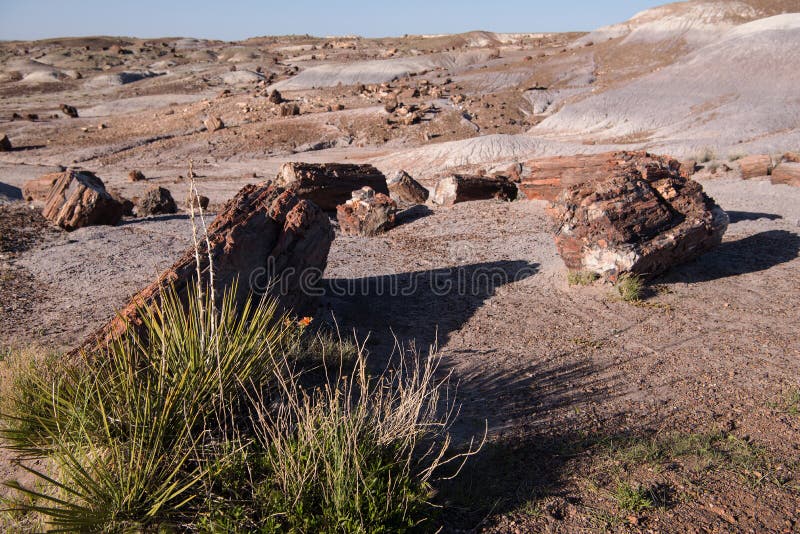 Petrified Forest National Park, Holbrook, Arizona stock photo